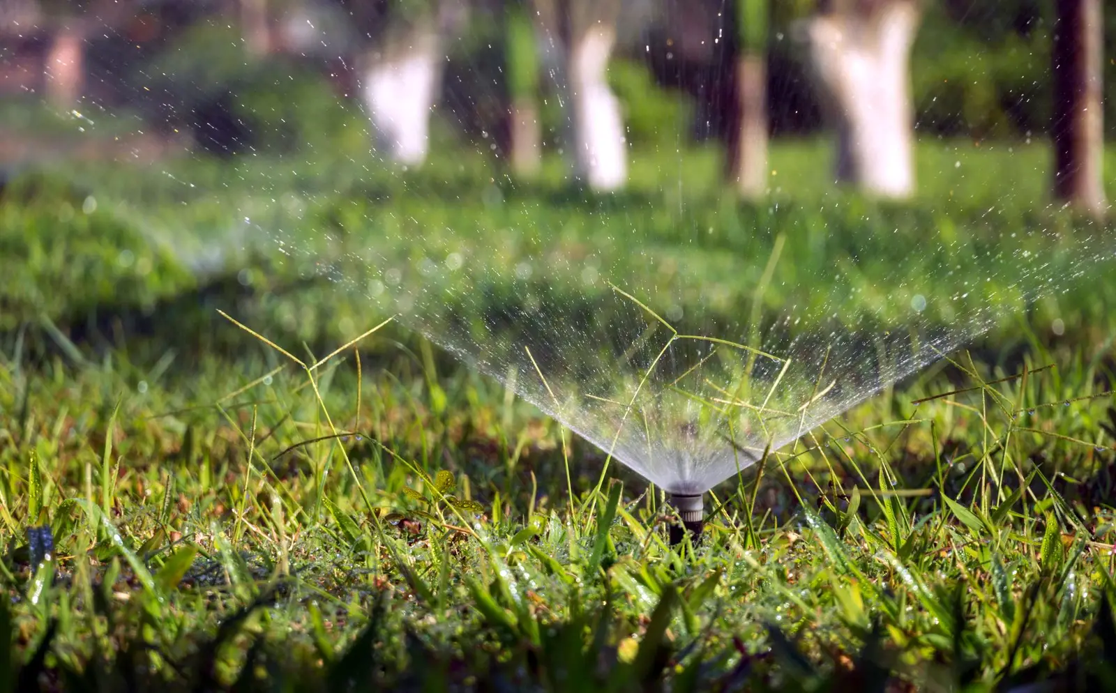 Garden sprinkler watering a green lawn